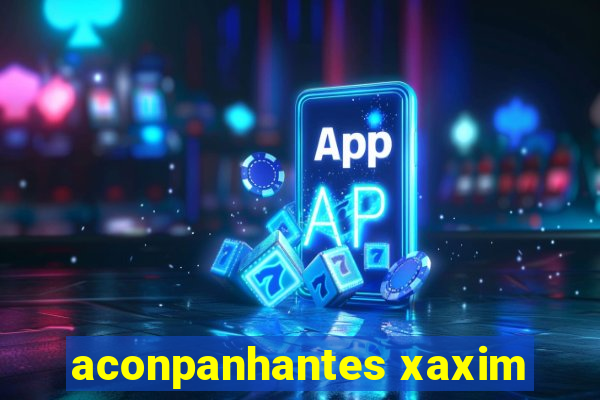 aconpanhantes xaxim